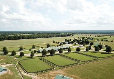 Horse Farms for Sale in Aiken SC | Barns for Sale South Carolina