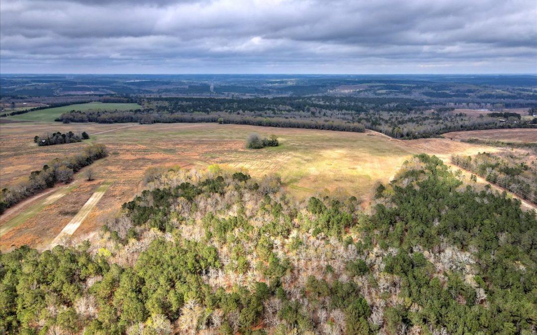 Expansive 362 Acre Tract